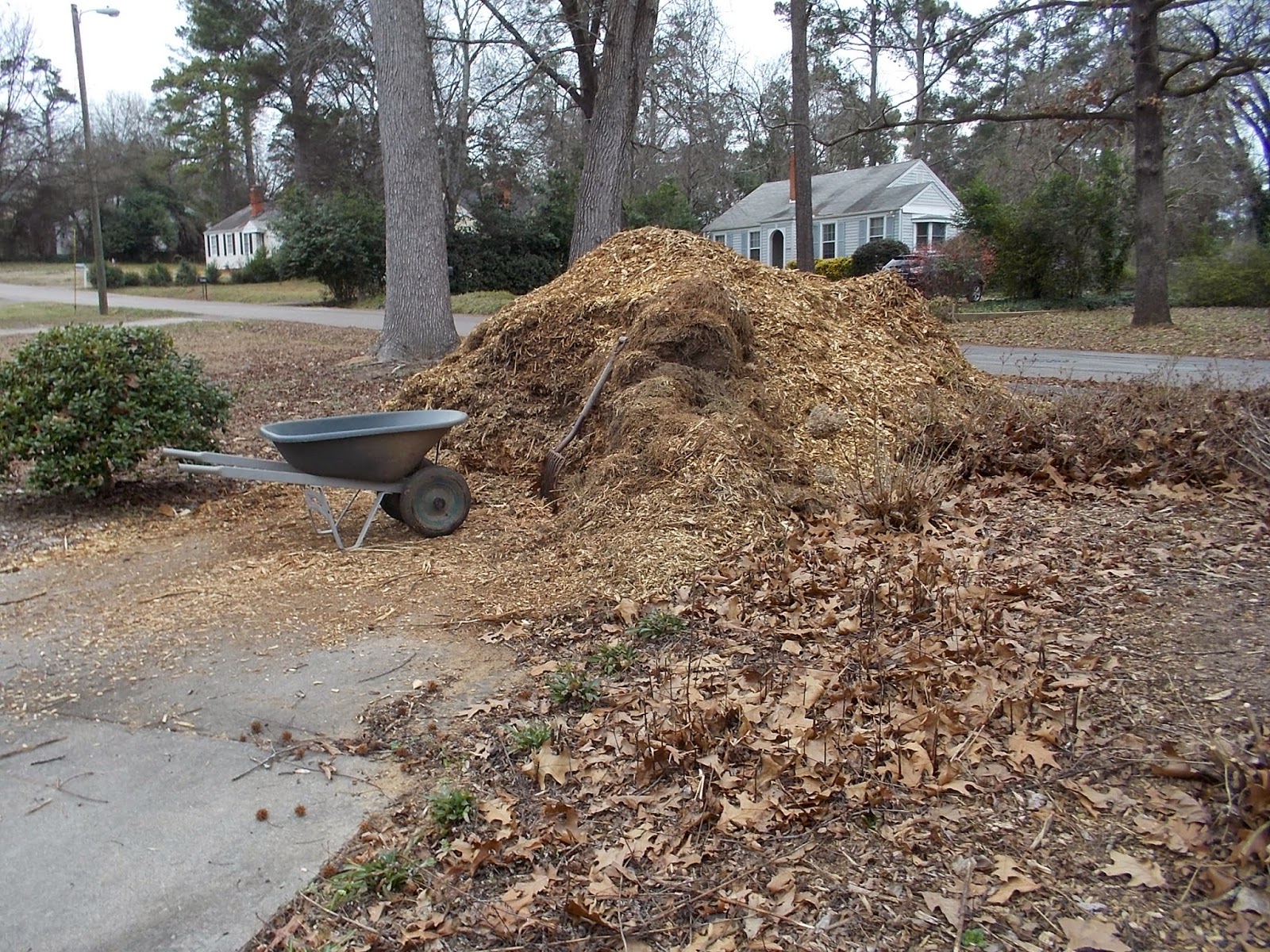 Bottle Tree Farm Manure, Manure, Manure, Mulch, Mulch, Mulch